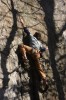 Thumbs/tn_Img_2066t.jpg