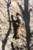 Thumbs/tn_Img_2069t.jpg