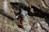 Thumbs/tn_Img_2079.jpg