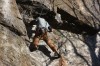 Thumbs/tn_Img_2081.jpg