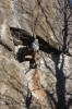 Thumbs/tn_Img_2084t.jpg