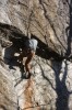 Thumbs/tn_Img_2085t.jpg