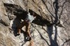 Thumbs/tn_Img_2093.jpg