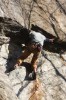 Thumbs/tn_Img_2098t.jpg