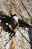 Thumbs/tn_Img_2104t.jpg