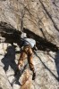 Thumbs/tn_Img_2105t.jpg