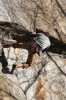 Thumbs/tn_Img_2106t.jpg