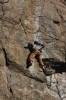 Thumbs/tn_Img_2108t.jpg