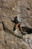 Thumbs/tn_Img_2110t.jpg
