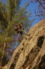Thumbs/tn_Img_2129t.jpg
