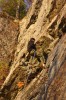 Thumbs/tn_Img_2146t.jpg
