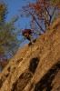Thumbs/tn_Img_2155t.jpg