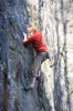 Thumbs/tn_Img_2170t.jpg