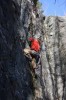 Thumbs/tn_Img_2174t.jpg