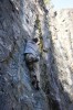 Thumbs/tn_Img_2198t.jpg