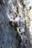 Thumbs/tn_Img_2207t.jpg