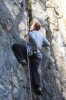 Thumbs/tn_Img_2222t.jpg
