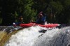 Thumbs/tn_Img_3531.jpg