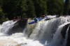 Thumbs/tn_Img_3540.jpg