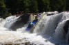 Thumbs/tn_Img_3541.jpg