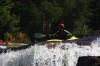 Thumbs/tn_Img_3555.jpg