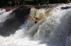 Thumbs/tn_Img_3577.jpg