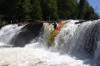 Thumbs/tn_Img_3608.jpg