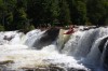 Thumbs/tn_Img_3615.jpg