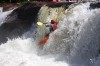 Thumbs/tn_Img_3643.jpg