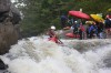 Thumbs/tn_Img_4889.jpg