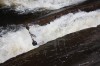 Thumbs/tn_Img_4894.jpg