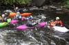 Thumbs/tn_Img_4912.jpg
