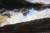Thumbs/tn_Img_4939.jpg